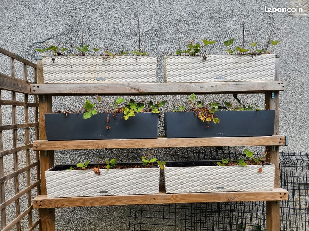 Jardinière lechuza 80 cm avec réserve (image 4)