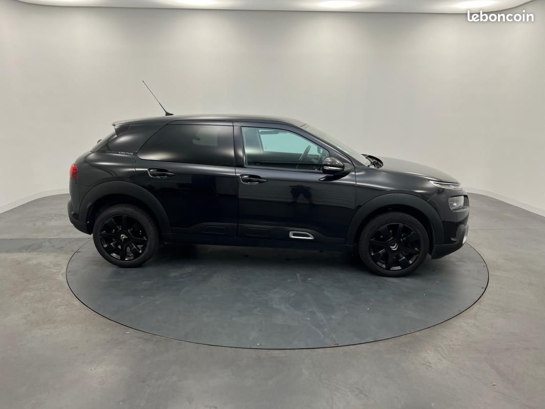 Citroën C4 Cactus BlueHDi 120 S&S EAT6 Shine (image 6)