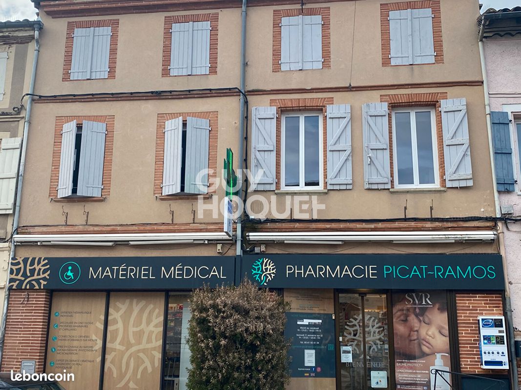 Immeuble 9 pièces 335 m² · à Fronton · 335 m² · 250 000 €