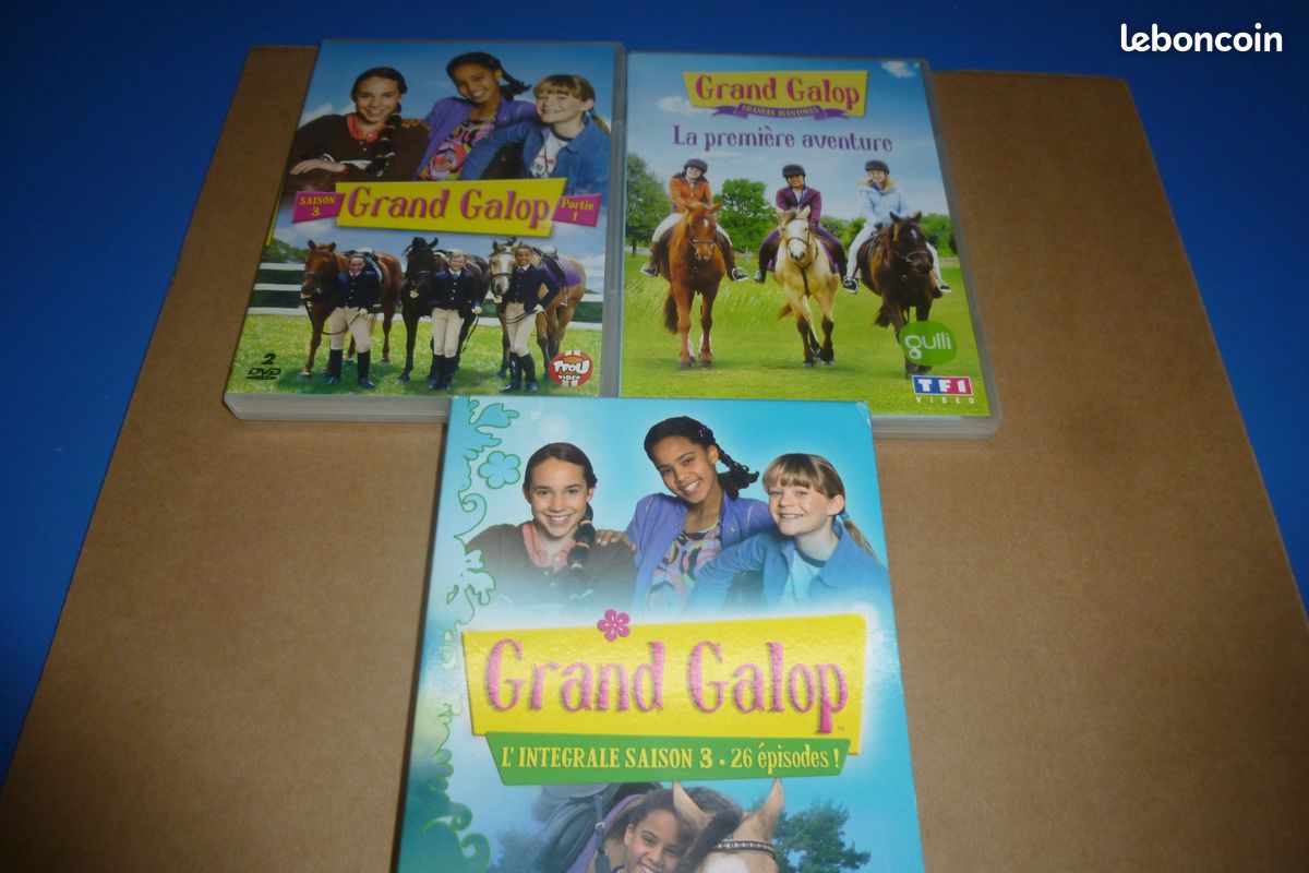 Lot de 4 dvd de grand galop (image 1)