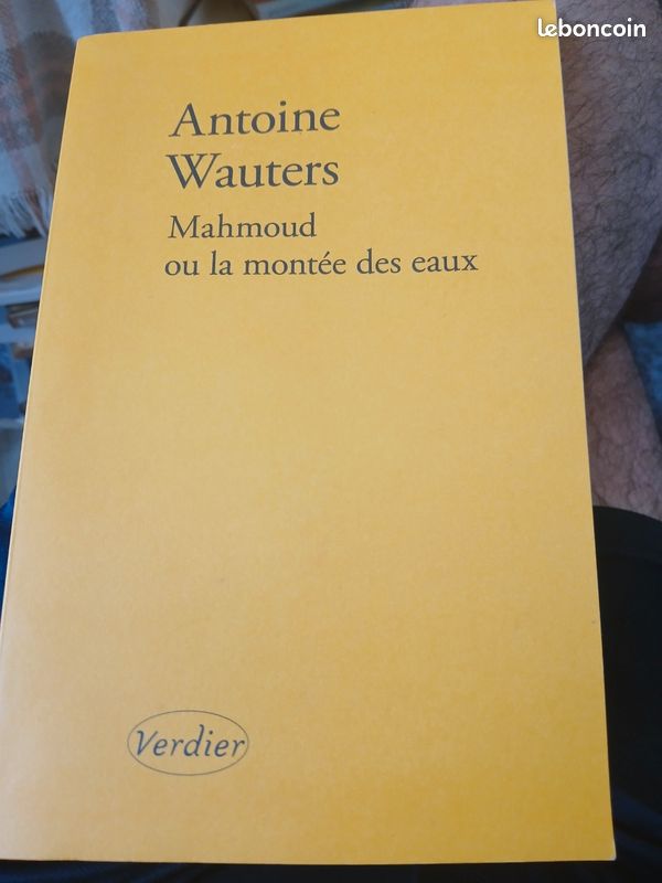 Antoine Wauters. Mahmoud ou la montée des eaux. Roman (image 1)
