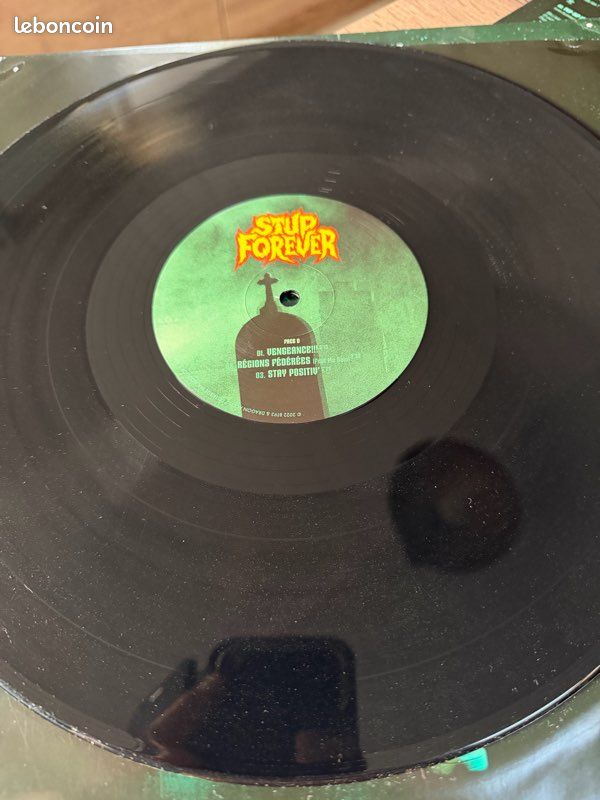 VINYL stupeflip (image 9)
