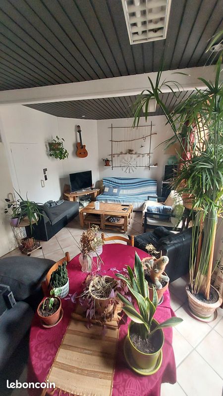 Colocation chaleureuse et spacieuse en plein centre de Vienne