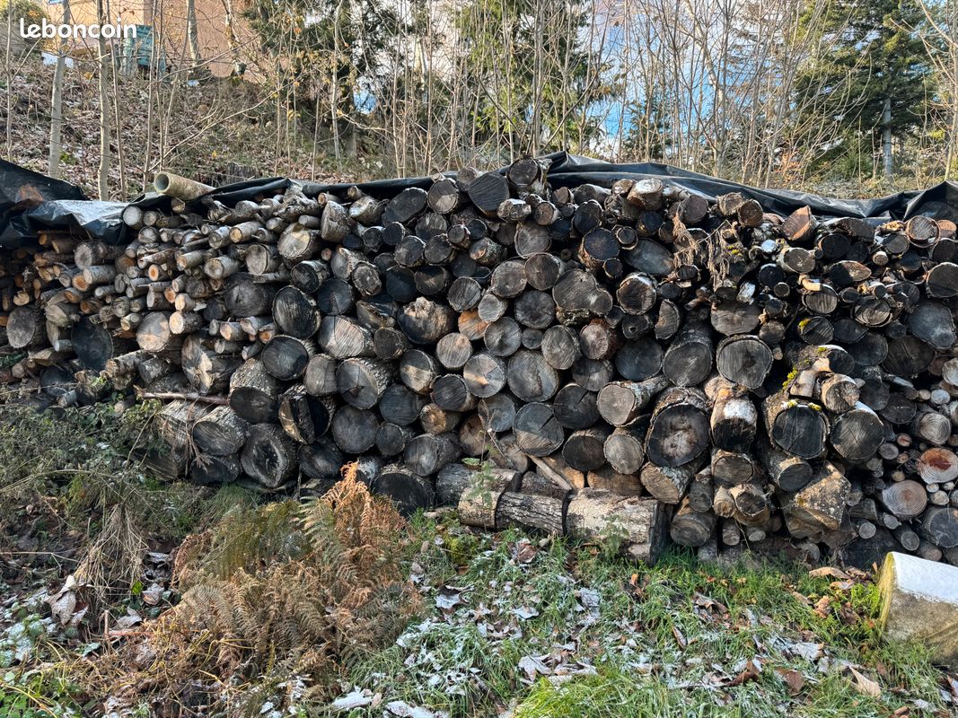Bois de chauffage très sec Bricolage — free download