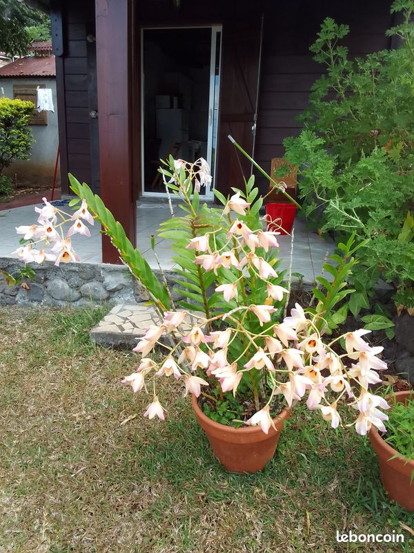 Jardinage bricolage (image 2)