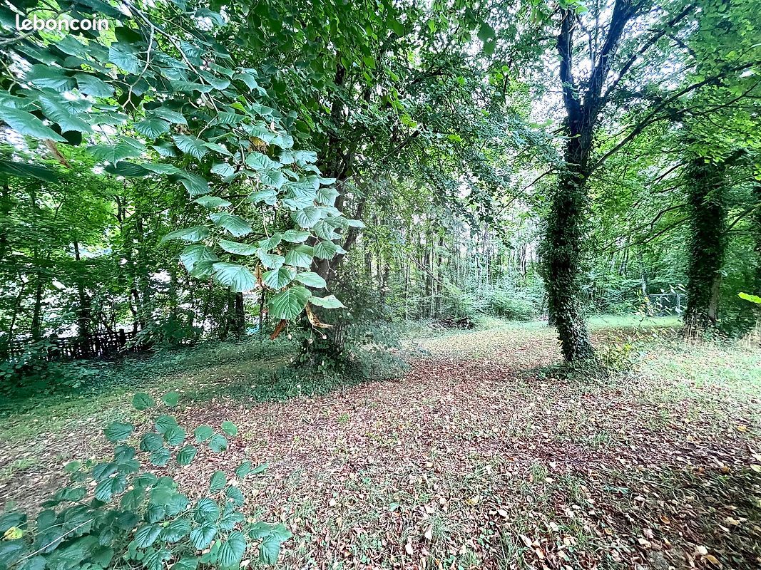 Terrain 4 240 m² Longuyon · 99 000 €