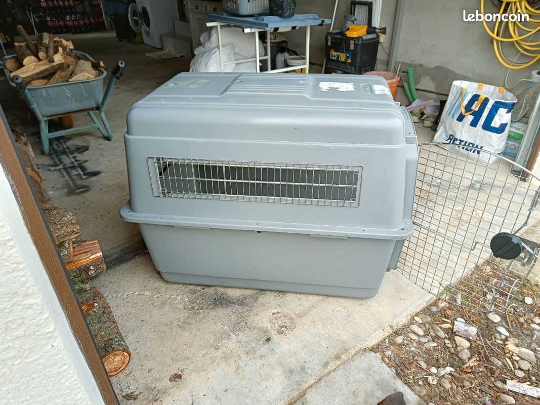 Cage de transport pour grand chien (image 3)