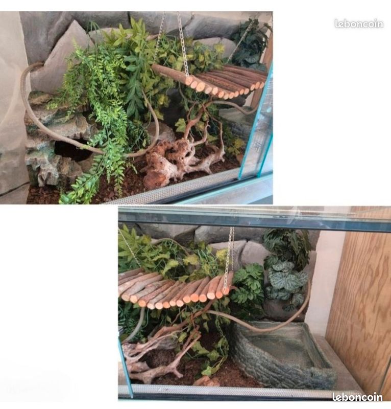 URGENT Vend terra complet et propre (image 2)
