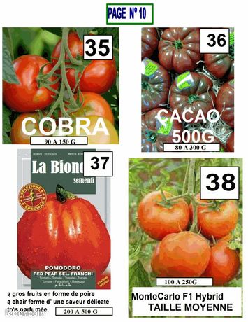 Graines de tomates à cultiver dans votre potager en vente en ligne Graines de tomates à cultiver dans votre potager en vente en ligne