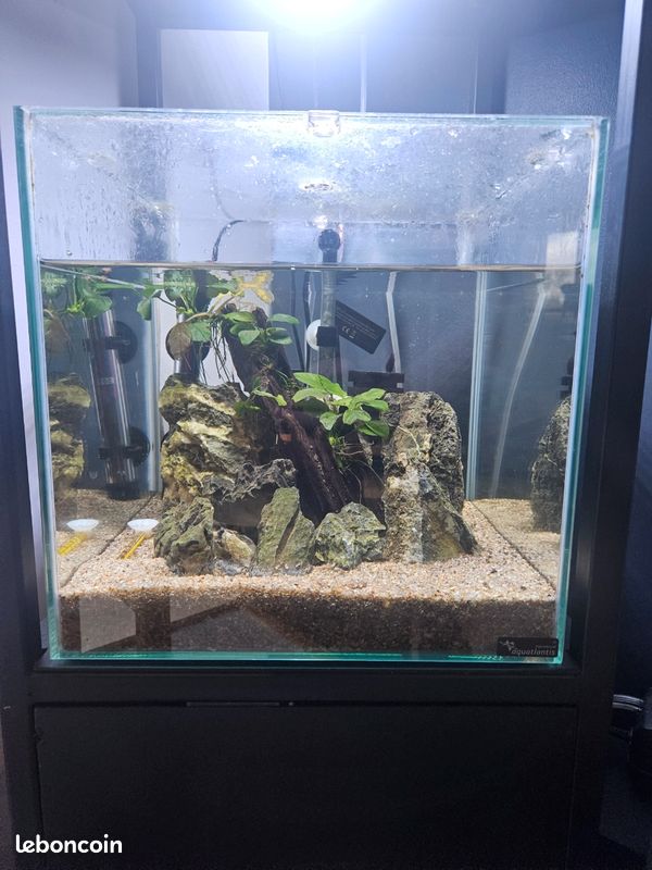 Aquarium (image 2)