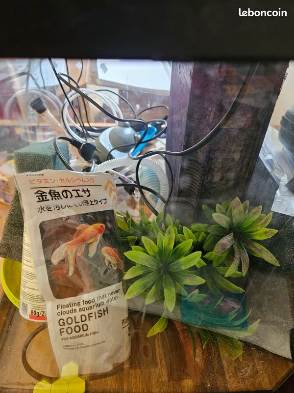 Aquarium poisson avec accessoires (image 2)