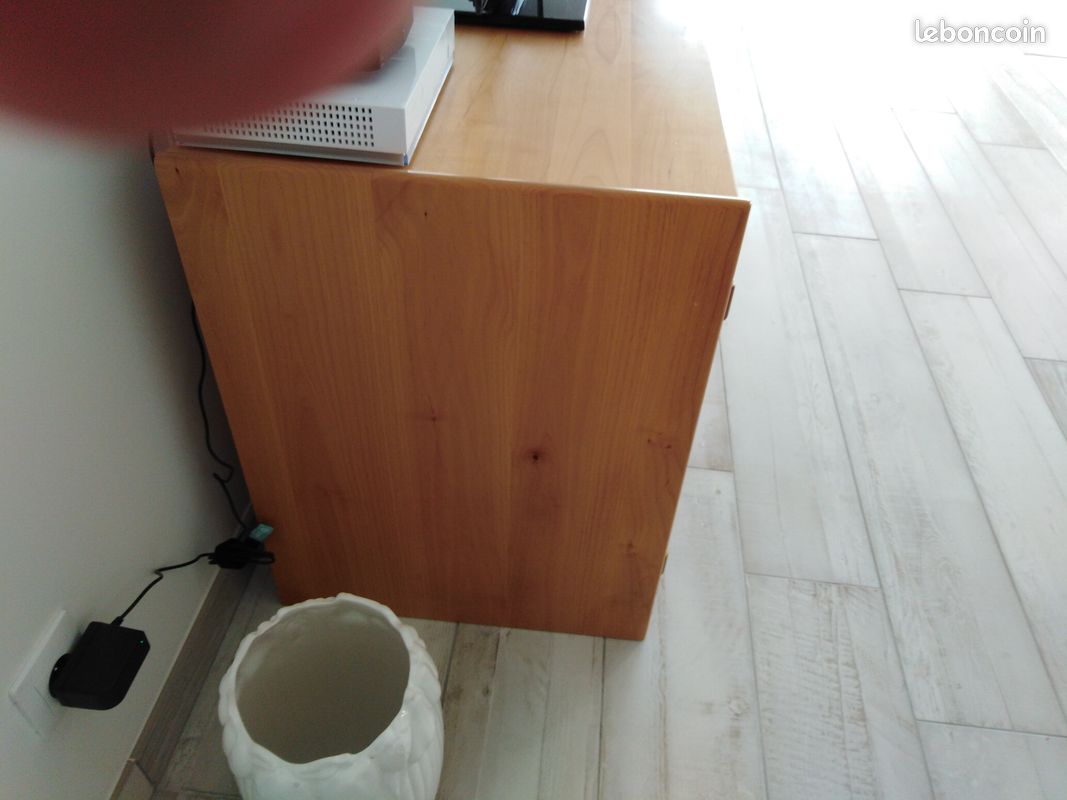 Meuble TV Crozatier 2 portes en aulne (image 3)
