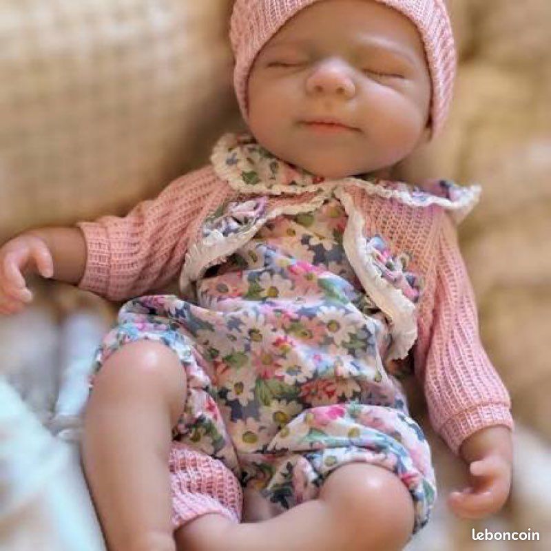 Je recherche un bébé Reborn en don - Jeux & Jouets