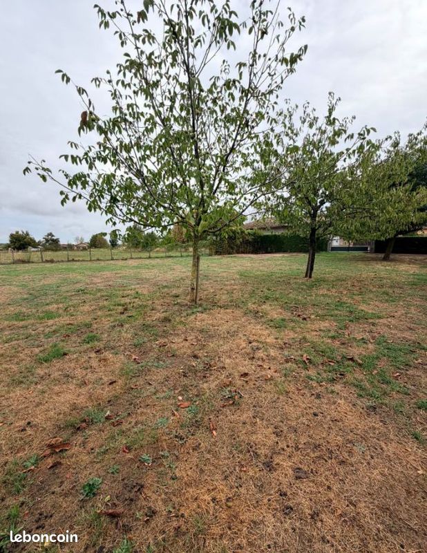 Terrain 700 m² · à Ozan · 60 000 €