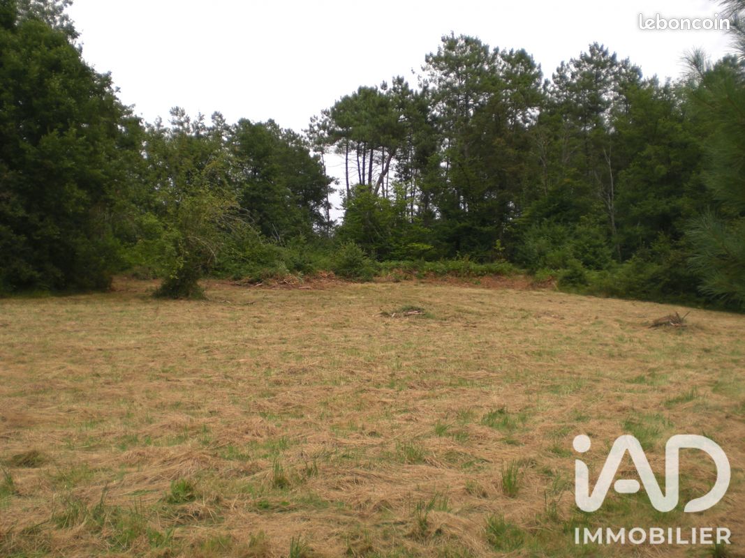 Terrain 5000 m² · à Campsegret · 5 000 m² · 139 000 €
