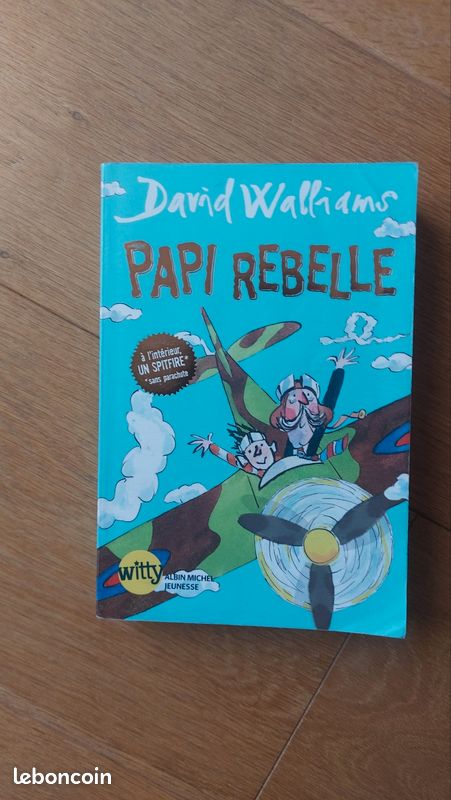 David Walliams papi rebelle (image 2)