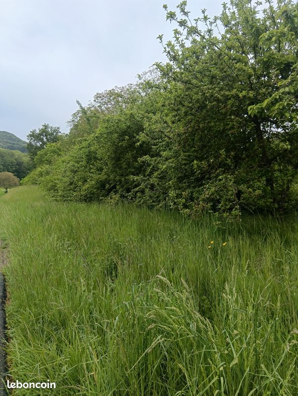 Vends terrain en nature de verger bien exposé vue imprenable · à La Balme-de-Sillingy · 30 000 €