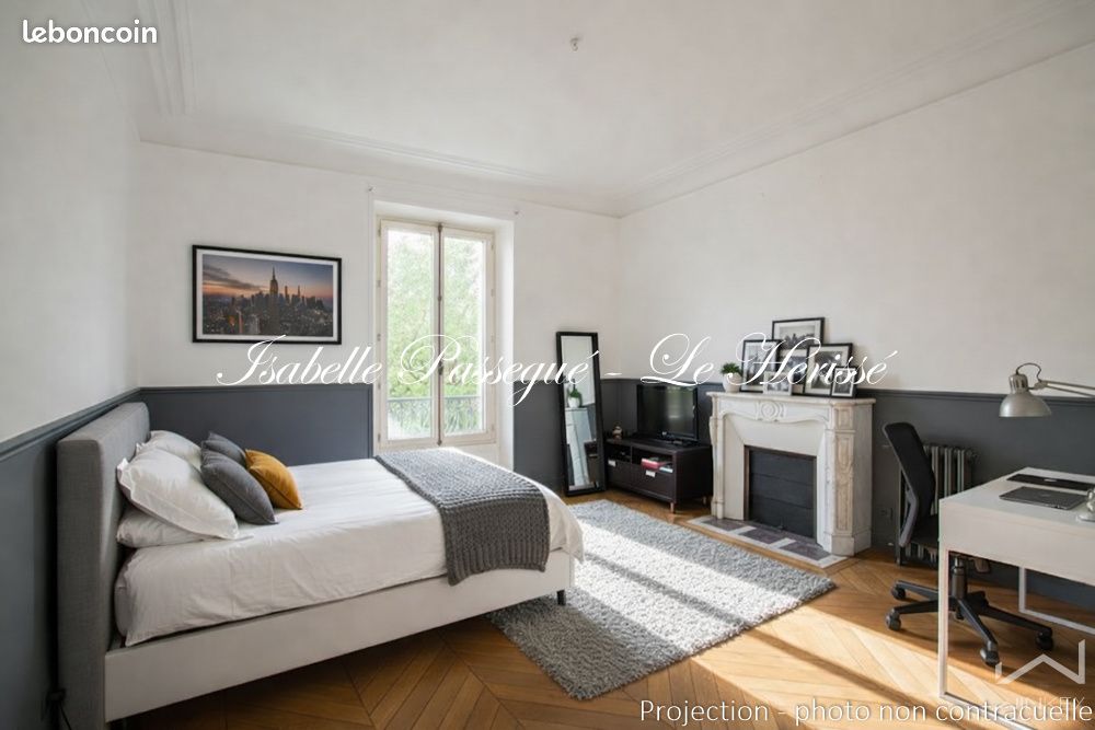 Maison en viager 11 pièces 300 m² (image 7)