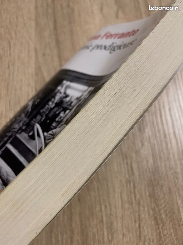 L’amie prodigieuse - Elena Ferrante (image 3)