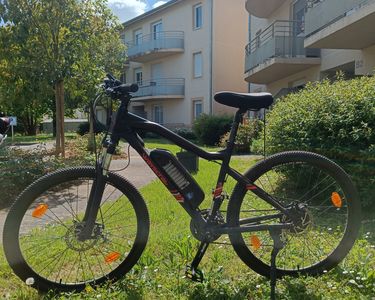 fahrradanhänger little van kupplung Favengo Adapter, Fahrrad Anhängerkupplung mit Sicherungsstift Universal Fahrrad Linker Fahrradanhänger Ersatzteile für Kinderanhänger, Haustieranhänger Lastenanhänger Baby Giesen Forsthoff Liter:2er Set: NUK5H Specialized Turbo Vado 3.0