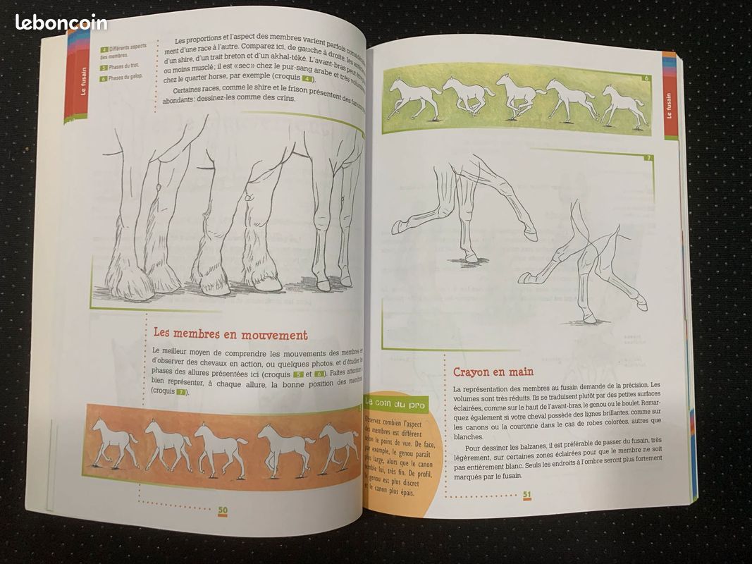 Dessiner les chevaux et les poneys - manuel (image 6)
