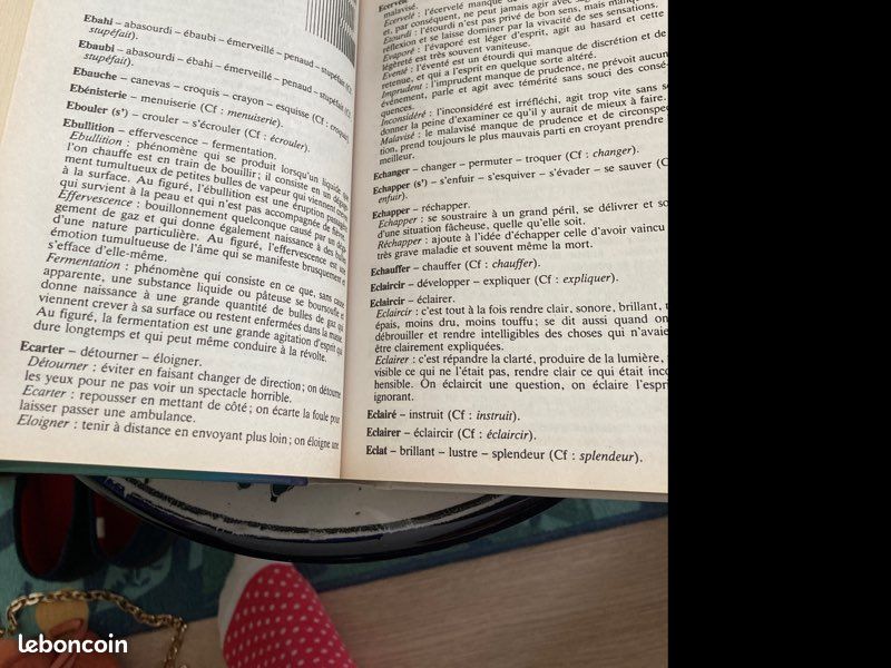 Le dictionnaire des synonymes (image 3)