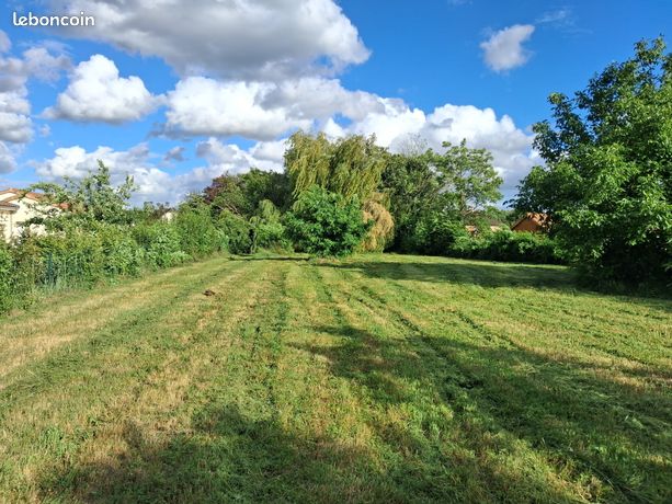 Terrain roiffe