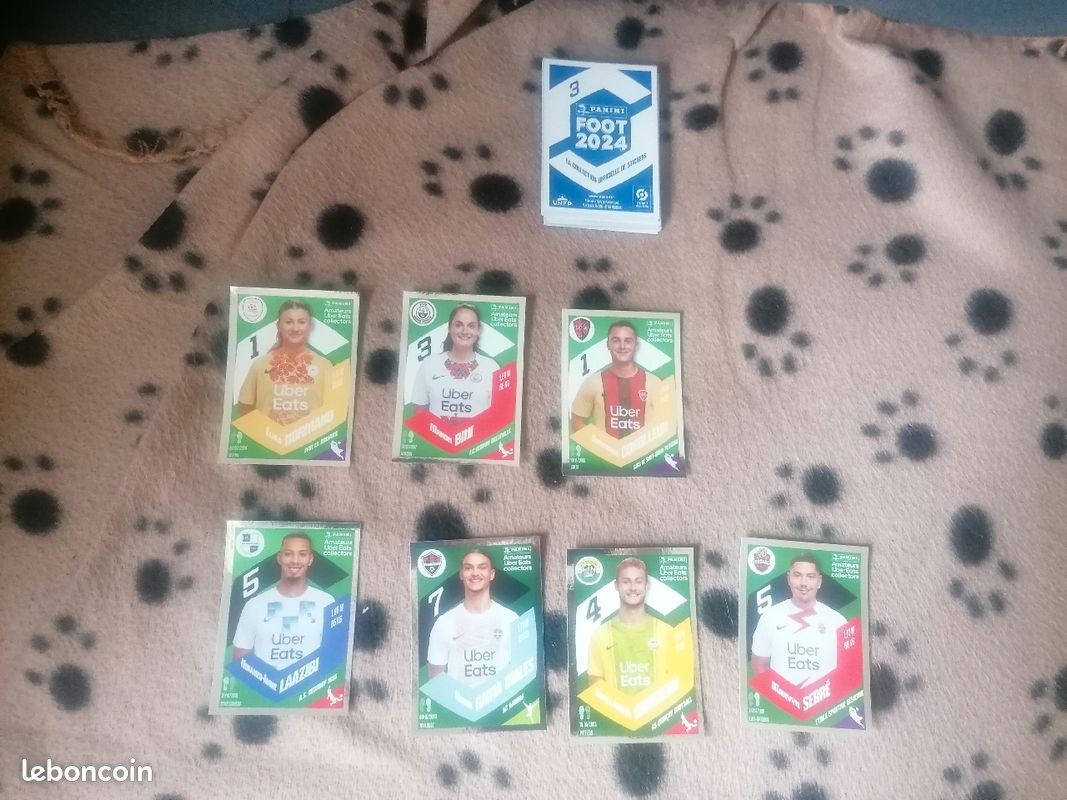 LOT de 44 AUTOCOLLANTS panini foot 2024 (image 2)