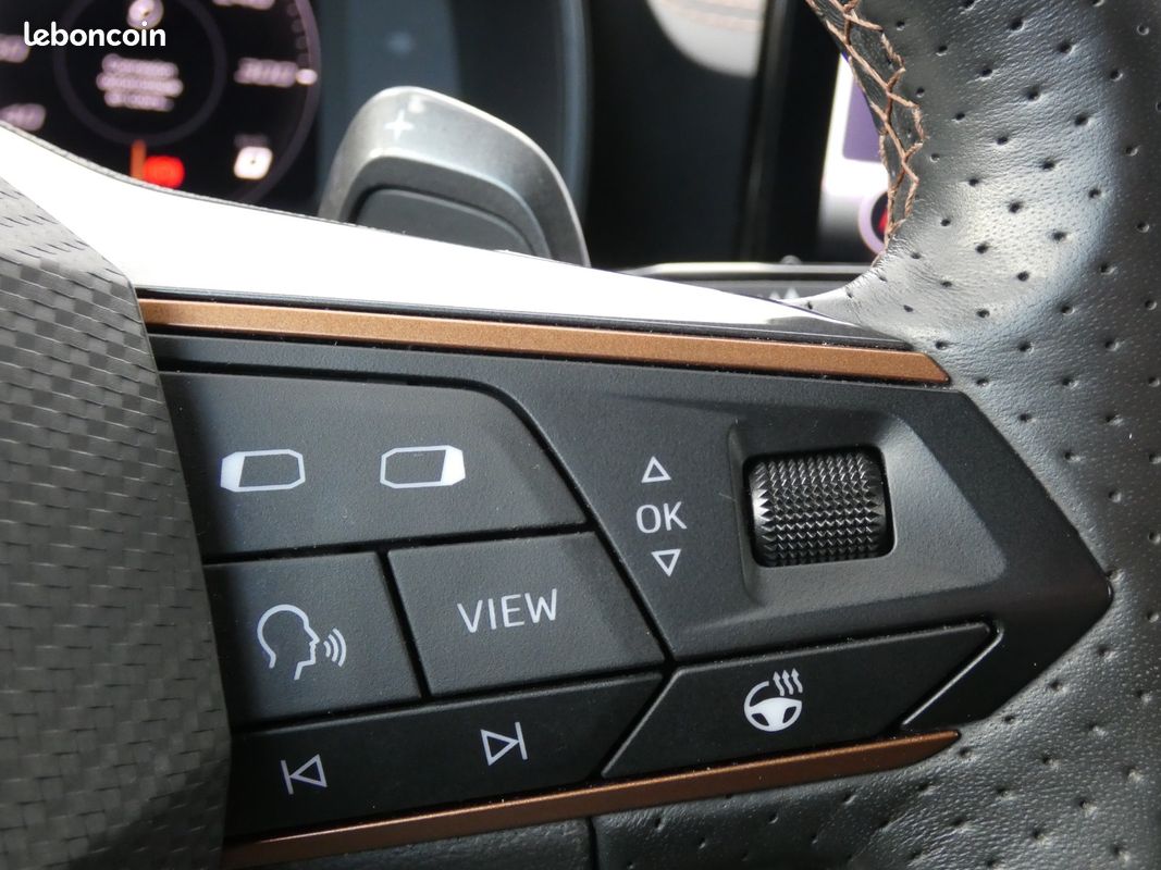 CUPRA FORMENTOR 2.0 TDI 150 ch DSG7 4Drive Business Edition (image 24)