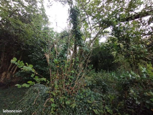Terrain 4340 m² Bannalec