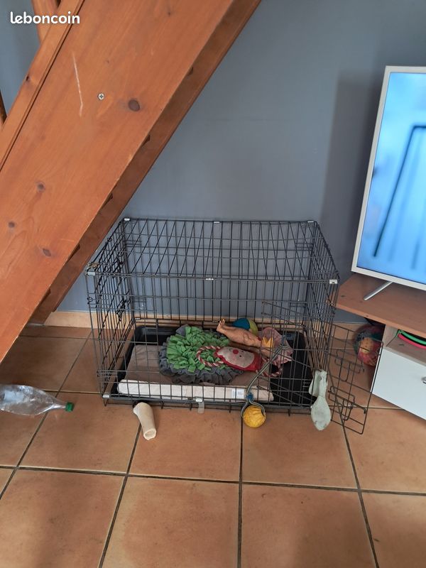 Cage pour chien (image 1)