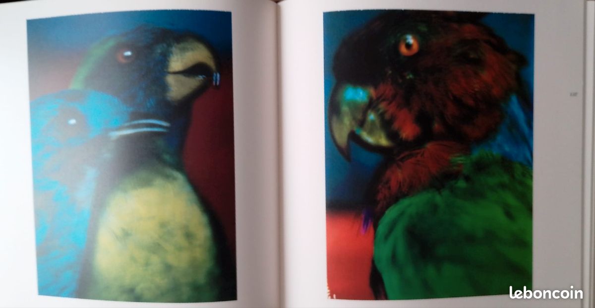 Coïncidences Sarah Moon 1ere édition (image 3)