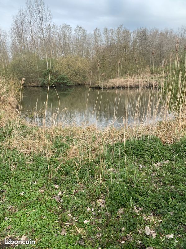 Peche Etang individuel ou action de pêche (image 2)