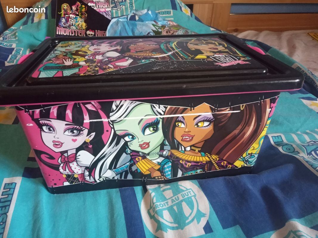 Boite de rangement Monster High (image 1)