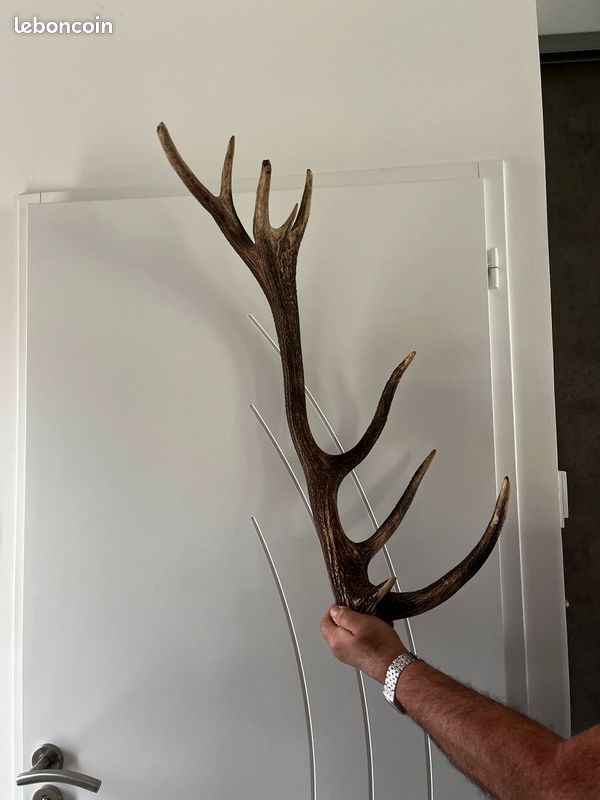 Bois déco grange ou pièces de chasse (image 4)