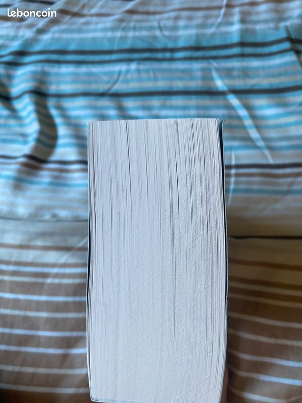 Livre Lakestone t1 de Sarah Rivens (image 4)
