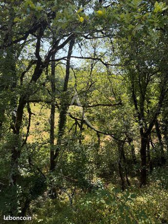 Terrain 2260 m² LABASTIDE DU VERT