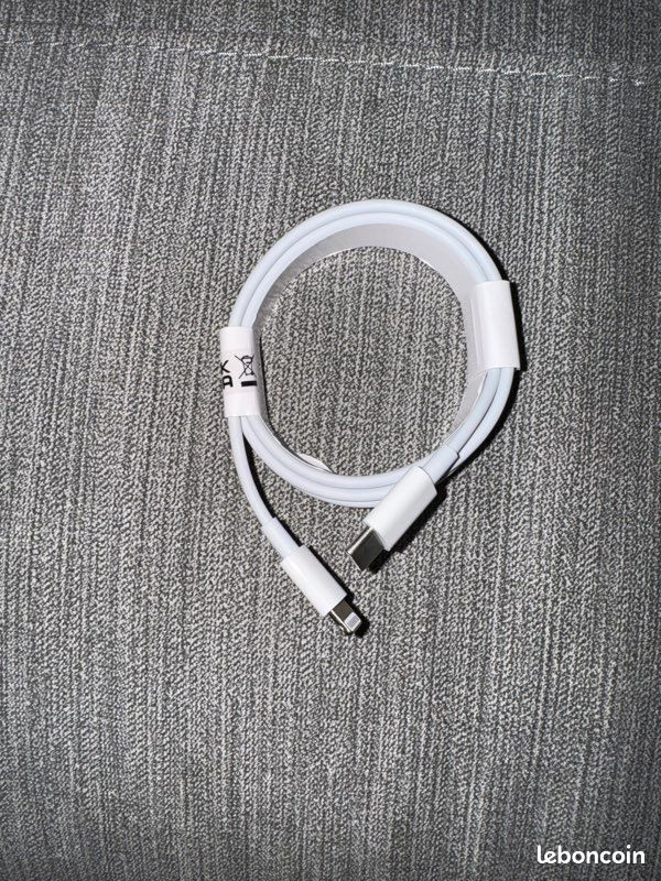 Chargeur iPhone (image 2)