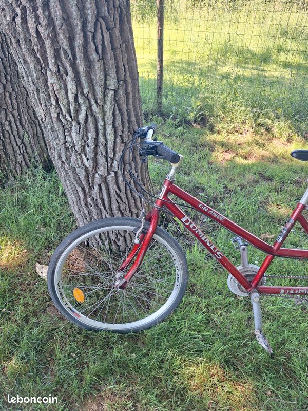 Tandem (image 3)