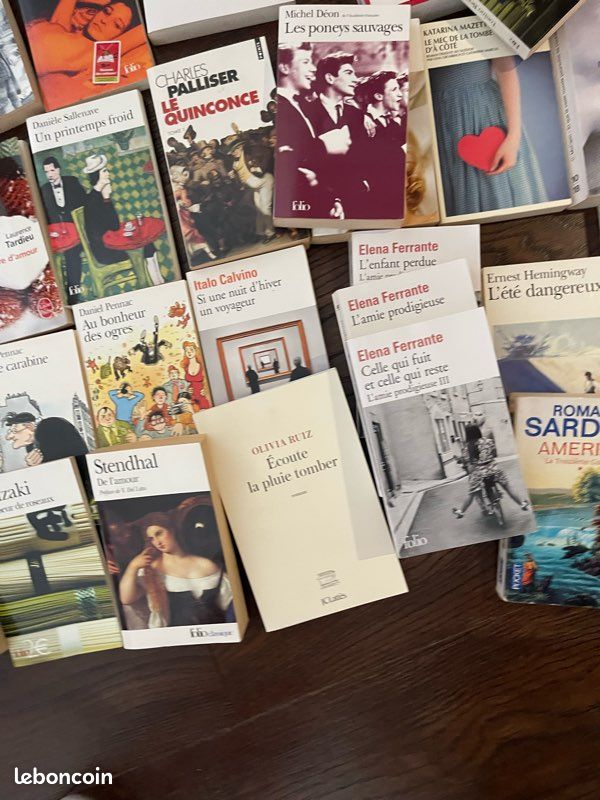 Lot de 60 livres de littérature format poche ou grand format tous auteurs lot ou unité (image 5)