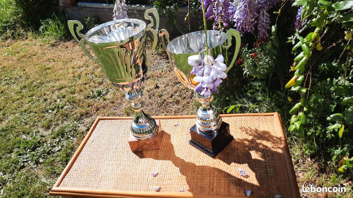 TROPHÉES coupes (image 1)