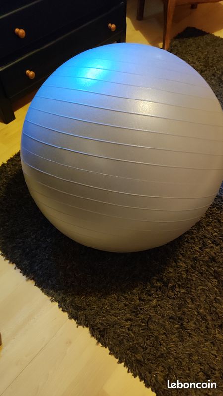 Ballon gymnastique pour dos (image 2)