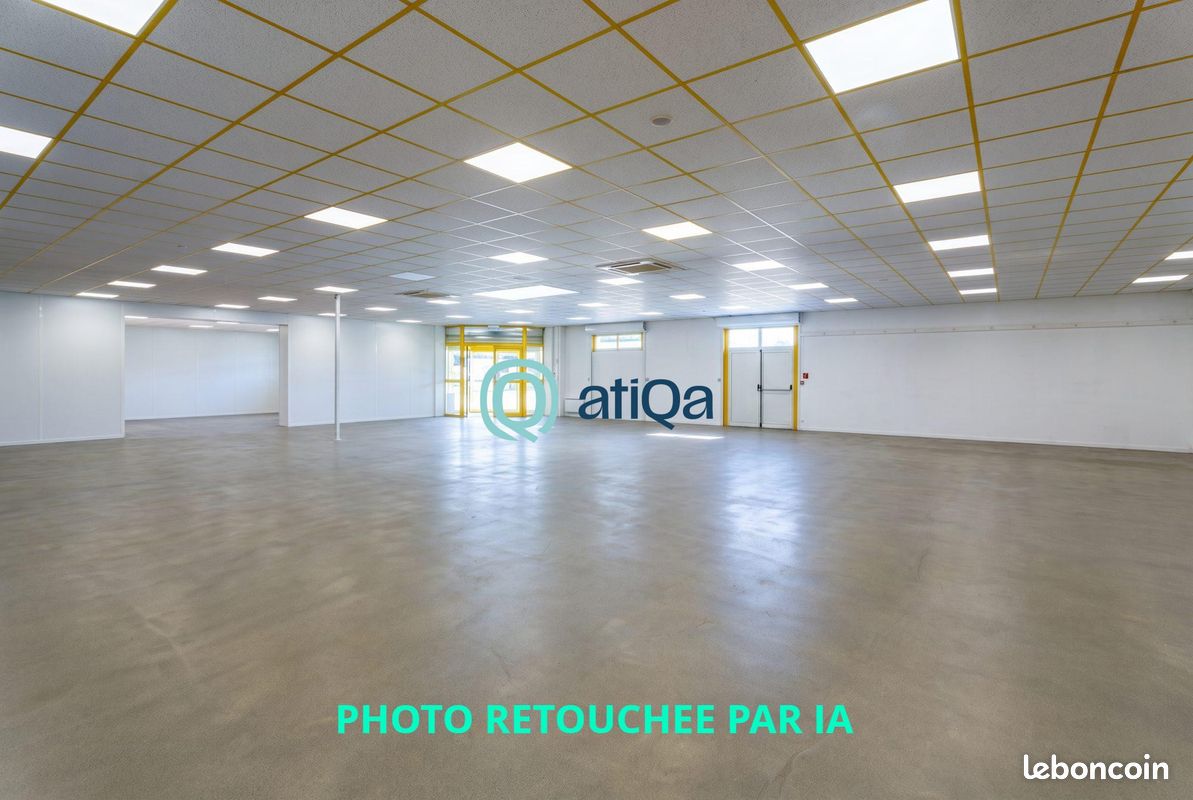 Local 755 m² Varennes-lès-Mâcon (image 3)