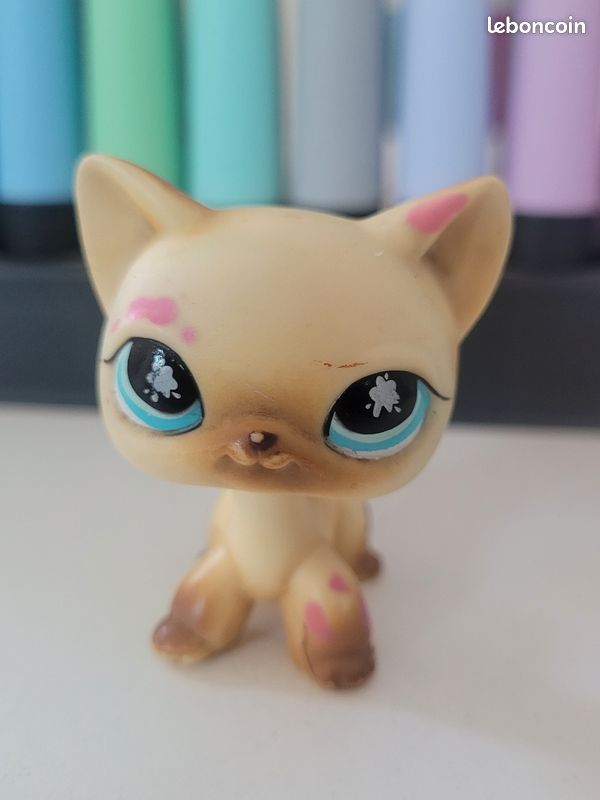 Authentic Littlest Pet Shop #816 Shorthair Cat / Original Hasbro LPS
