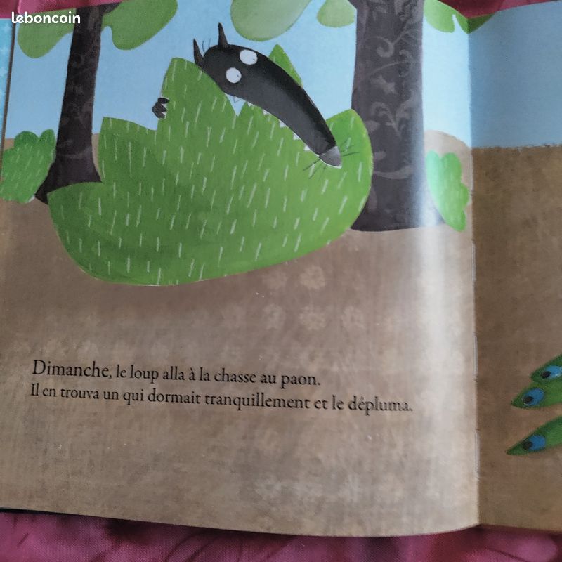 Le loup qui voulait changer de couleur jamais utilisé (image 11)
