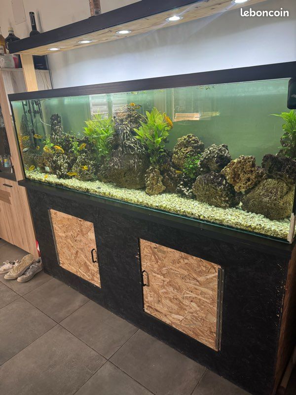 Aquarium complet (image 3)