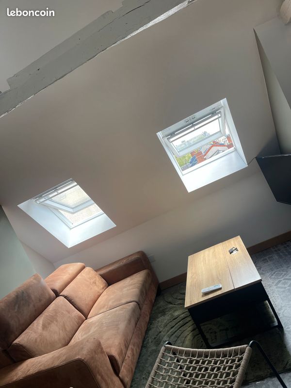 Magnifique t2 centre ville meuble - Limoges 87000 (image principale 2)