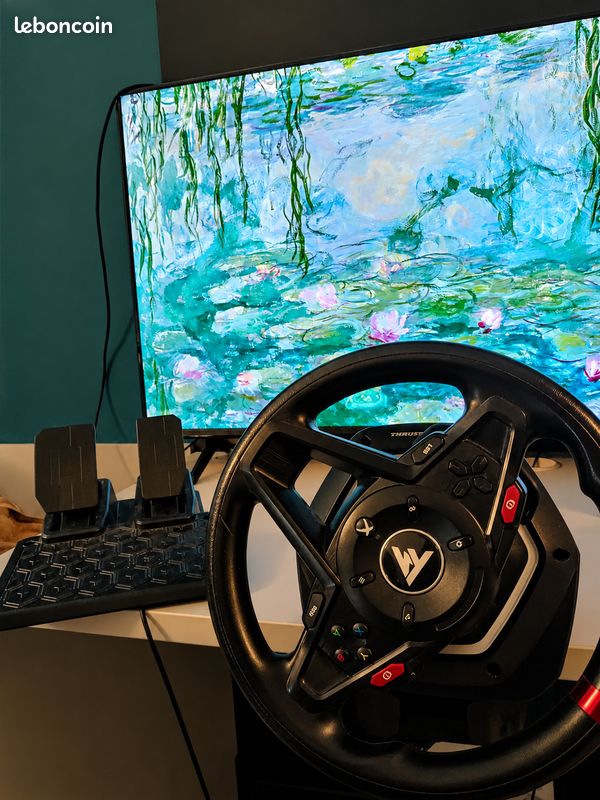 Volant THRUSTMASTER - Très BON ETAT (image 2)
