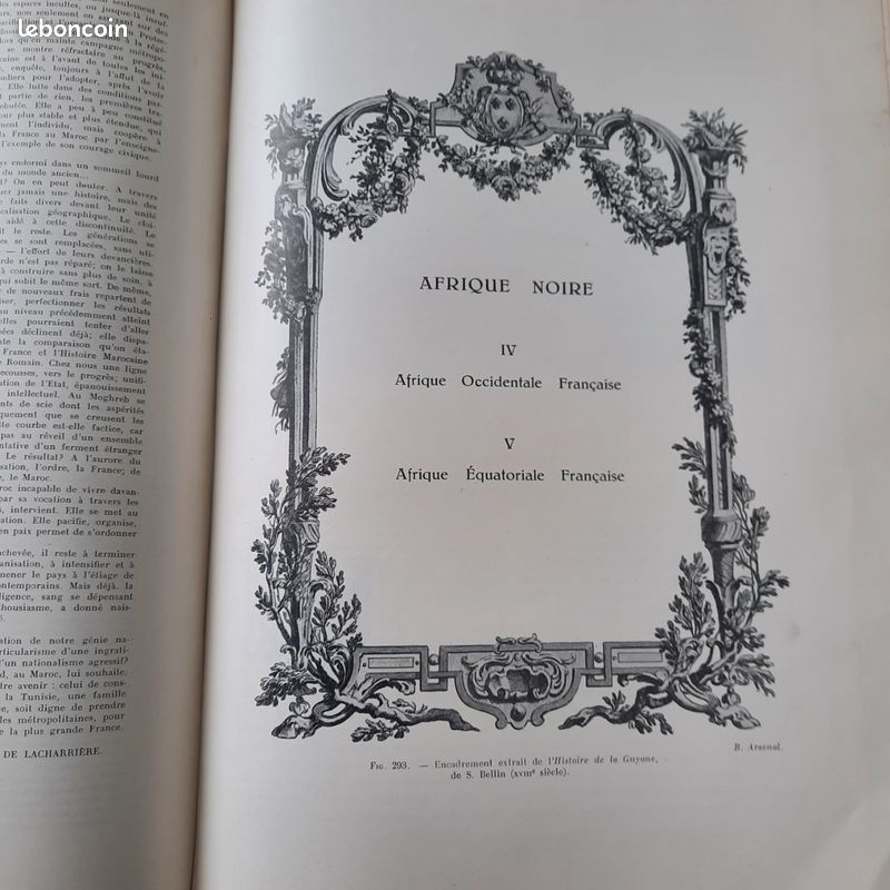 Le domaine colonial Français. Afrique du Nord et Afrique Noire. 1929 (image 13)