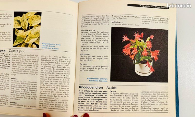 Encyclopédie des plantes d’appartement ENVOI GRATUIT (image 8)
